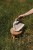 wave_29.JPG