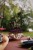 IMG_3918.jpeg