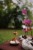 IMG_4993.jpeg