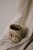 IMG_8536.jpeg