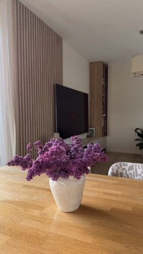 IMG_3498.jpeg